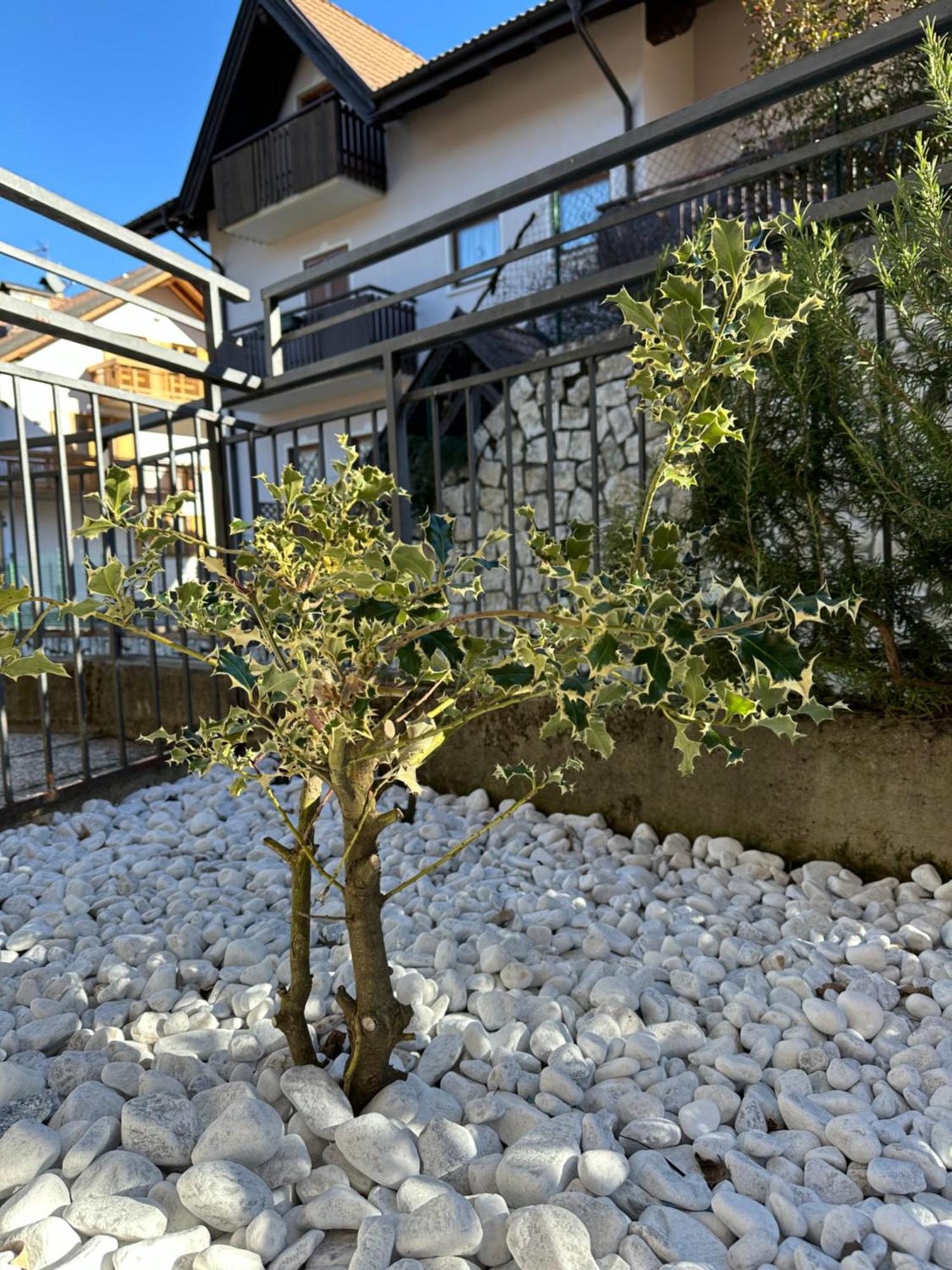 Casa Vacanza La Croseta Trento Luaran gambar